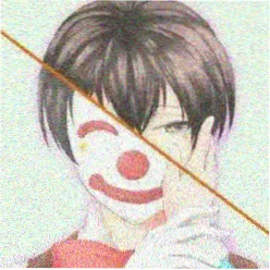 动画粉Tom
